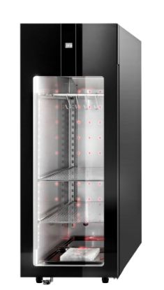Image de Armoire maturation de viandes