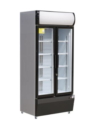 Image de Vitrine à boissons 2 portes vitrées 580L