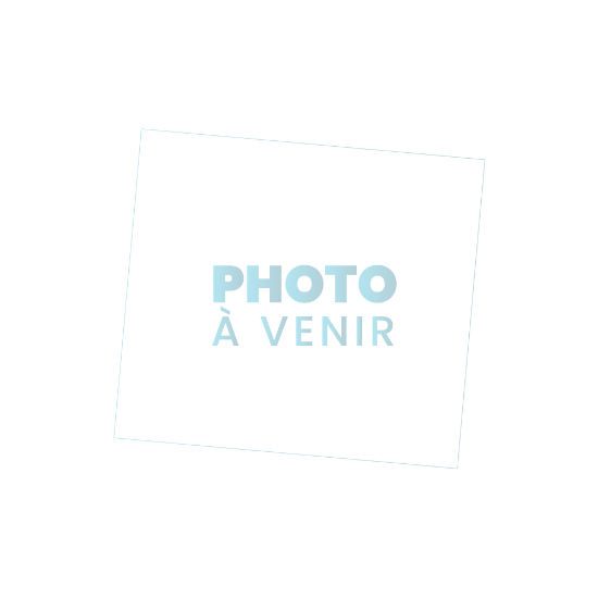 Image de Kit échelle de transformation format pâtissier en format GN1/1 pour GR202 et GR203 - GASTRO M
