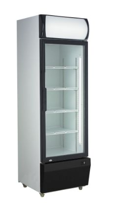 Image de Vitrine à boissons 1 porte vitrée 335L