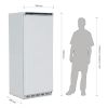Image de Armoire réfrigérée positive 1 porte blanche Série C 600L - Polar