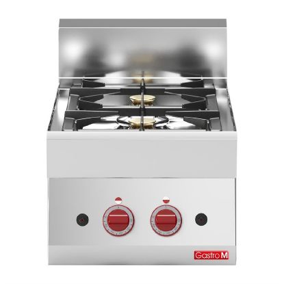 Image de 2 feux vifs gaz à poser Gastro M 65/40 - Gastro M