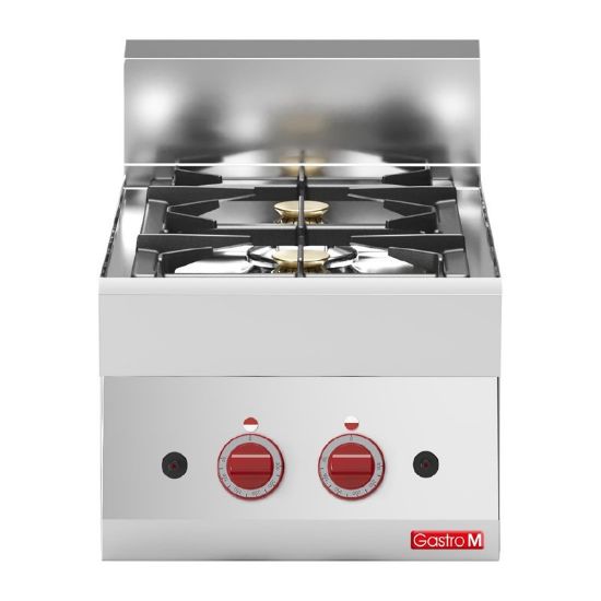 Image de 2 feux vifs gaz à poser Gastro M 65/40 - Gastro M