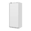 Image de Armoire réfrigérée positive Série C blanche 600L - Polar