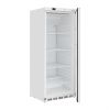 Image de Armoire réfrigérée positive Série C blanche 600L - Polar