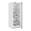 Image de Armoire réfrigérée positive Série C blanche 600L - Polar